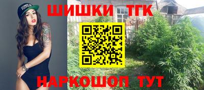 крисы Кунгур