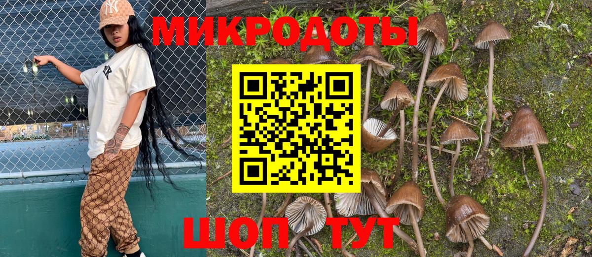 цена наркотик  Псилоцибиновые грибы мухоморы  Вход с VPN  Кострома  Галлюциногенные грибы мицелий 