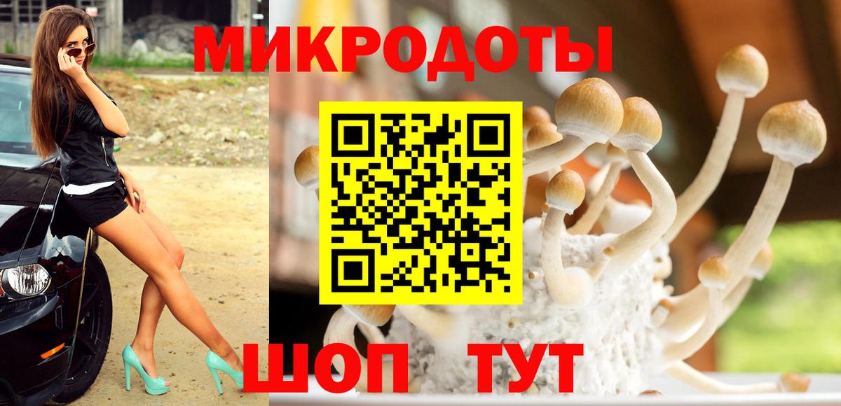 Псилоцибиновые грибы ЛСД Кострома